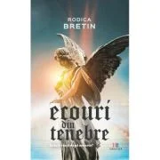 Ecouri din tenebre - Rodica Bretin