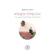 Elegia timpului. Un an de poezie (9 decembrie 2016 - 8 decembrie 2017) - Gabriel Chifu