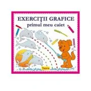 Exercitii grafice. Primul meu caiet - Diana Rotaru