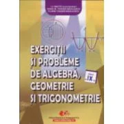 Exercitii si probleme (algebra, geometrie si trigonometrie) clasa a 9-a - Ioana Toader-Radulescu