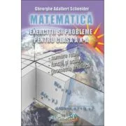 Exercitii si probleme pentru clasa a 10-a Matematica - Gheorghe Adalbert Schneider