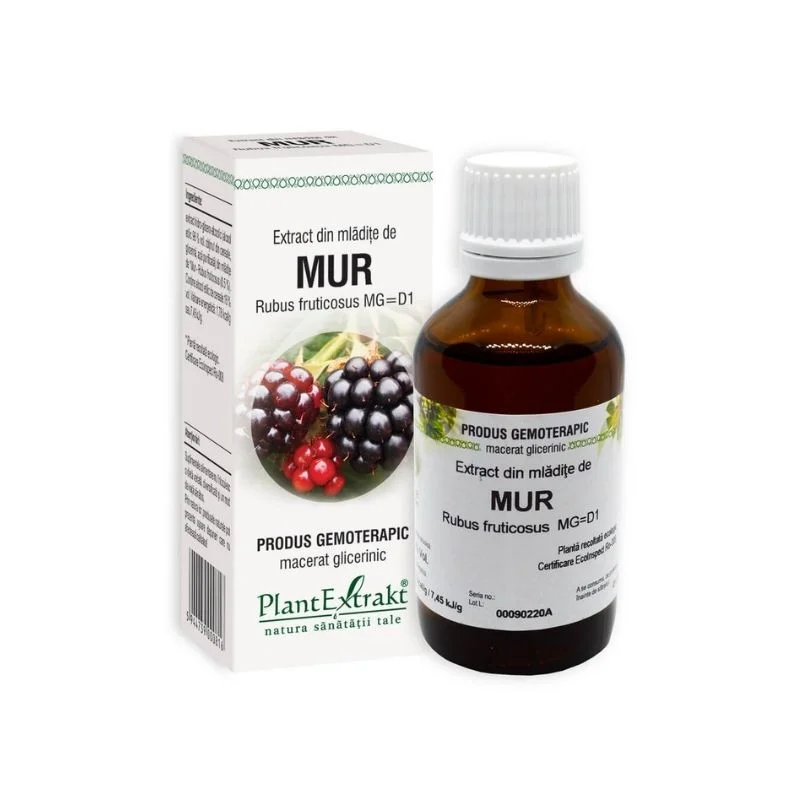 Extract din mladite de Mur, 50 ml, Plant Extrakt