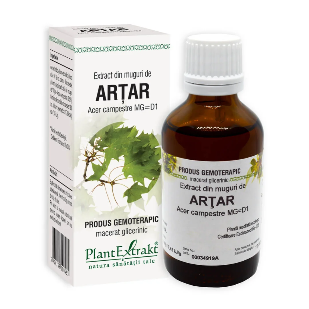 Extract din muguri de Artar, 50 ml, Plant Extrakt