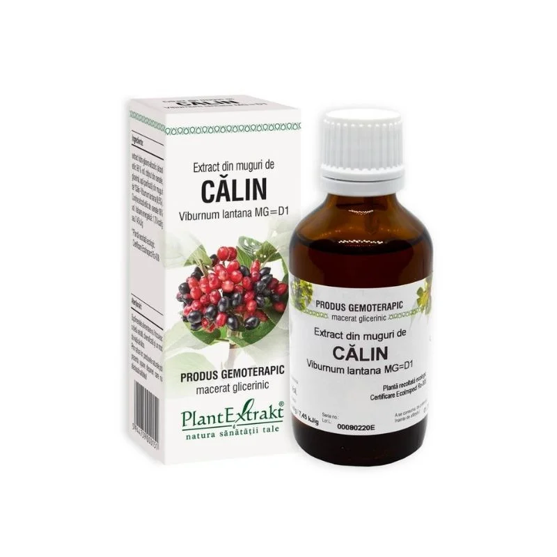 Extract din muguri de Calin, 50 ml, Plant Extrakt