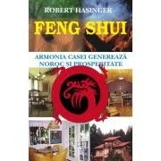 Feng shui - Robert Hasinger