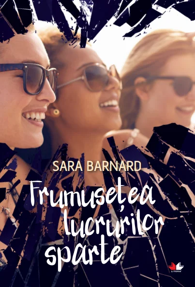 Frumusețea lucrurilor sparte