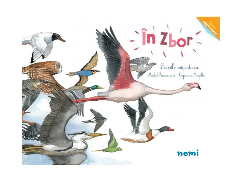 În zbor - Hardcover - Capucine Mazille, Michel Francesconi - Nemira