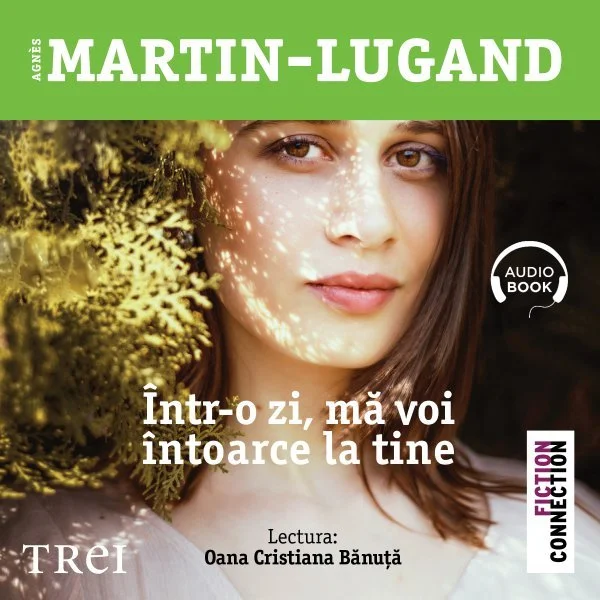 Într-o zi mă voi întoarce la tine - Audiobook - Agnès Martin-Lugand