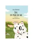 Jup, un pisoi de soi volumul 11. Jup si detectivul - Alec Blenche