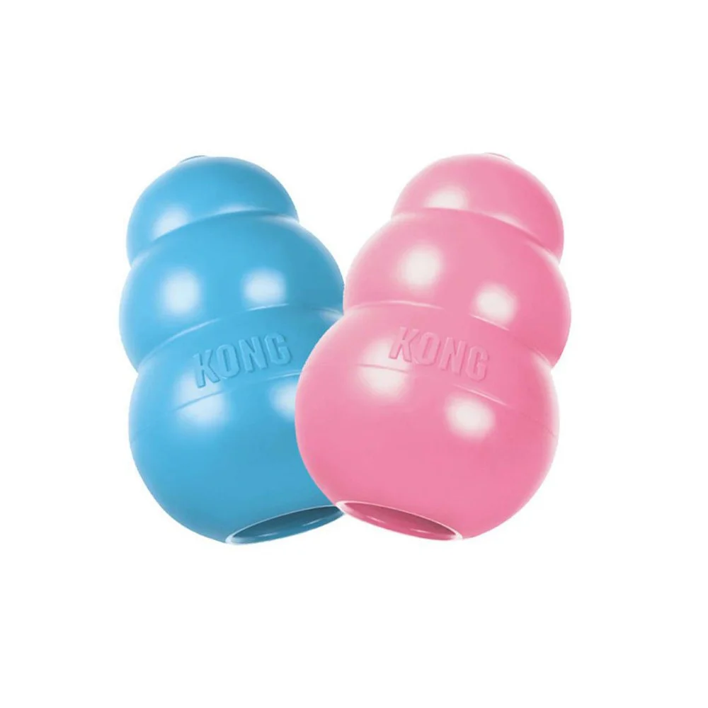KONG Puppy