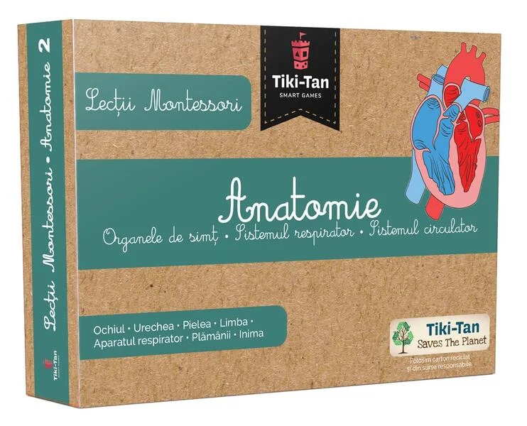 Lecţii de anatomie: Organe de simţ. Sistemul respirator. Sistemul circulator. Lecții Montessori - Board book - *** - Gama