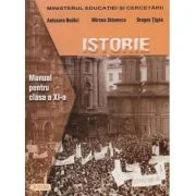 Manual de istorie pentru clasa a 11-a - Anisoara Budici