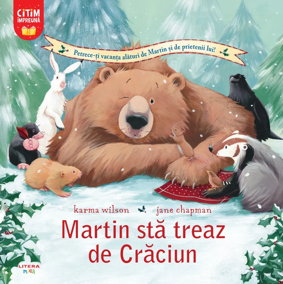 Martin sta treaz de Craciun