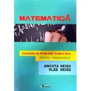Matematica. Culegere de probleme clasa a 11 a, Profil Pedagogic - Ancuta Heisu