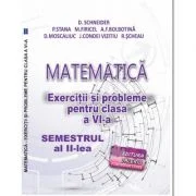 Matematica. Exercitii si probleme clasa a 6-a Semestrul al 2-lea - Delia Schneider