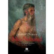 Mei-nebunul - Gabriel Noiescu