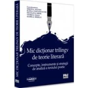 Mic dictionar trilingv de teorie literara. Concepte, instrumente si strategii de analiza a textului poetic - Simona Antofi