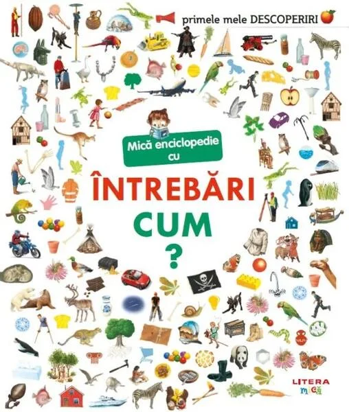 Mică enciclopedie cu întrebări. Cum? - Paperback brosat - Sophie Lamoureux - Litera mică