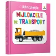 Mijloacele de transport. Bebe Cunoaste