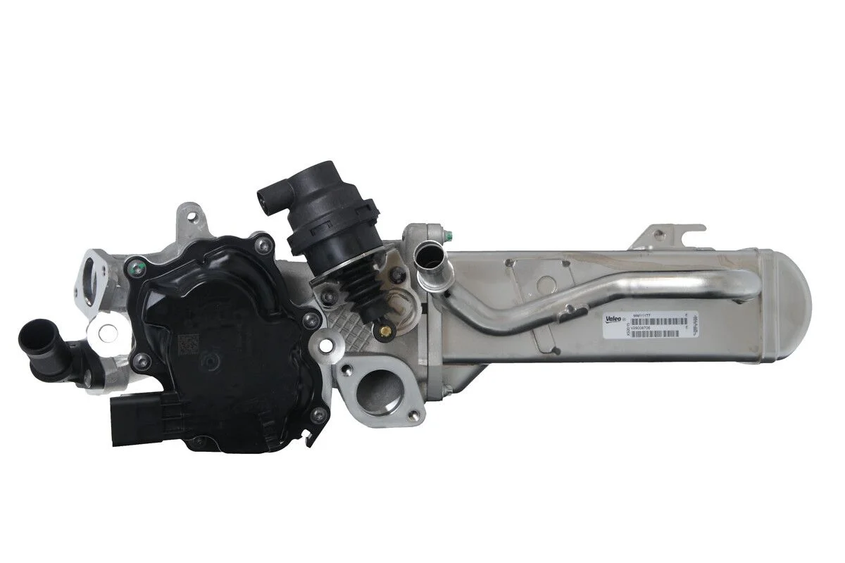 Modul-EGR VALEO 700442