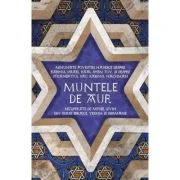 Muntele de aur. Minunate povestiri hasidice despre rabinul Israel, Baal Shem Tov, si despre stranepotul sau, rabinul Nachman, recuperate de Levin Meye