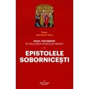 Noul Testament in talcuirea Sfintilor Parinti. Volumul 9. Epistolele Sobornicesti - Ioan Sorin Usca