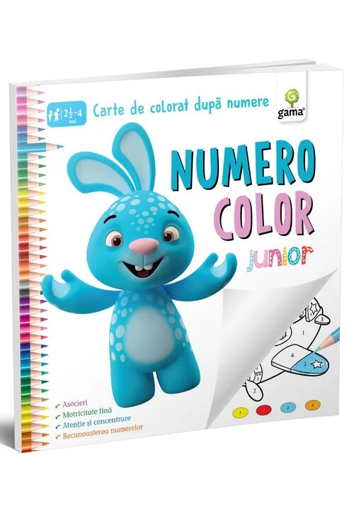 NumeroColor • Junior