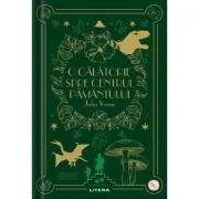 O calatorie spre centrul Pamantului. Volumul 24. Biblioteca pentru copii - Jules Verne