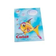 Pachet Caiete A5 Clasa 1 Pestisorul