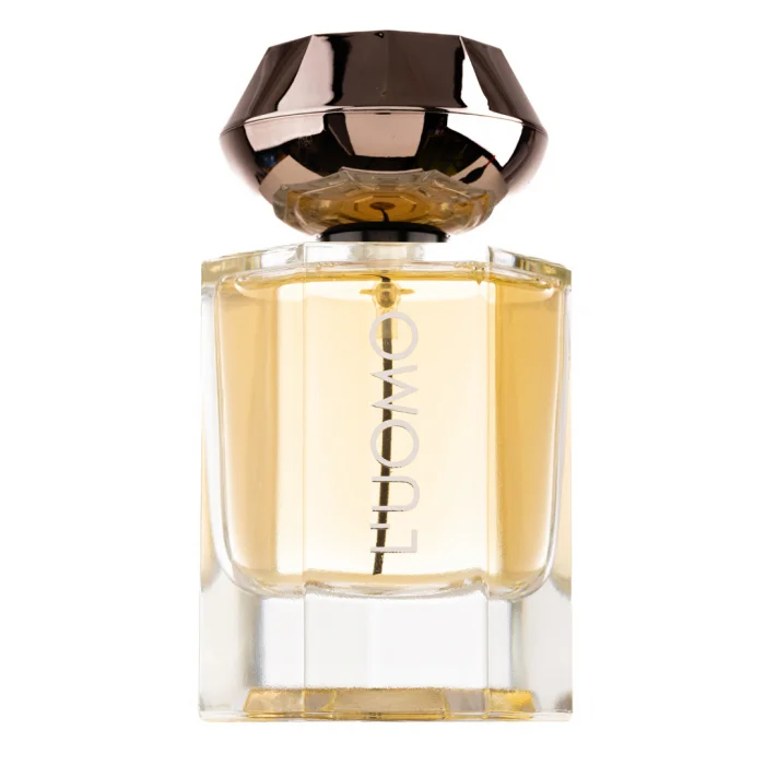 Parfum Fw L  Uomo, Fragrance World, apa de parfum 100 ml, barbati - inspirat din  L Homme by Yves Saint Laurent