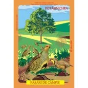 Pasari din fauna Romaniei care traiesc la campie - Istina Mirescu