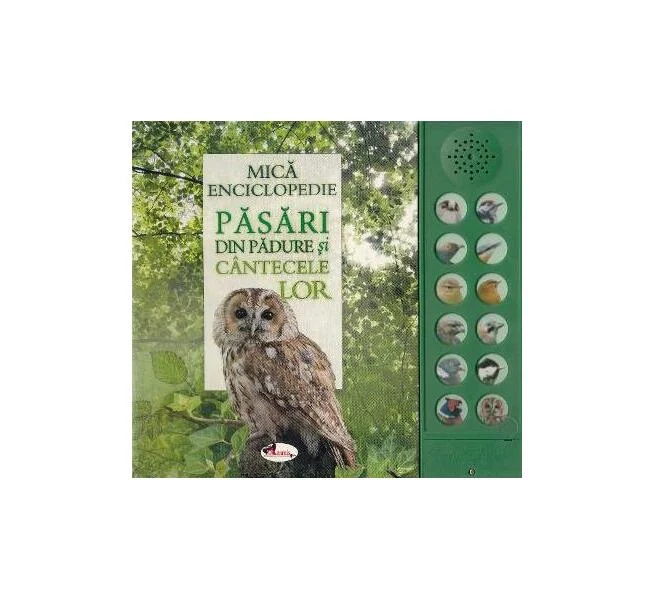 Păsări din pădure și cântecele lor - Board book - *** - Aramis