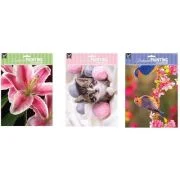 Pictura cu diamante, A4, diverse modele