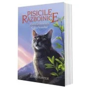 Pisicile Razboinice. Cartea 25 Zorii clanurilor. Calea Soarelui - Erin Hunter