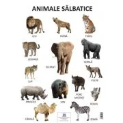 Plansa Animale salbatice