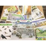 Planse Stiinte clasele 2-4 Material didactic