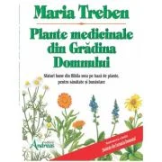 Plante medicinale din gradina Domnului. Sfaturi bune din Biblia mea de leacuri - Maria Treben