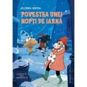 Povestea unei nopti de iarna - Florin Irimia