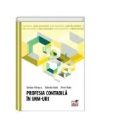 Profesia contabila in IMM-uri