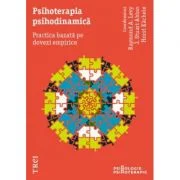 Psihoterapia psihodinamica. Practica bazata pe dovezi empirice - Raymond A. Levy, J. Stuart Ablon, Horst Kachele