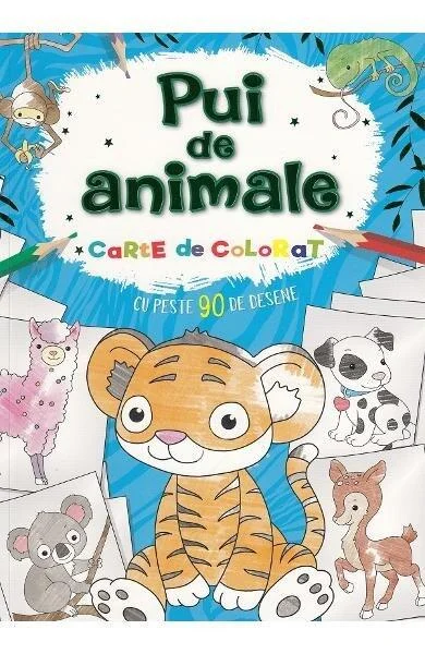 Pui de animale. Carte de colorat - Paperback - *** - Flamingo