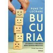 Pune in lucrare bucuria. Sapte moduri de a-ti ridica moralul inspirate din Biserica primelor secole - Phoebe Farag Mikhail