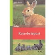 Rase de iepuri - Petra Ahrens