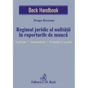 Regimul juridic al nulitatii in raporturile de munca. Explicatii. Jurisprudenta. Formulare si modele - Dragos Brezeanu