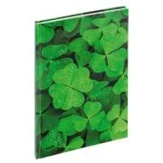 Registru A4 Grand 150-1239, 96 file, matematica, coperta cartonata