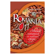 Romania 2011: starea economica in malaxorul crizei - Constantin Anghelache