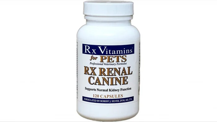 RX Renal Caine 120 capsule