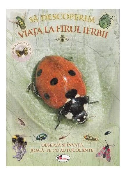 Să descoperim viața la firul ierbii. Observă și învață, joacă-te cu autocolante! - Paperback - *** - Aramis