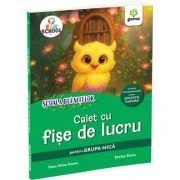 Scoala bufnitelor. Caiet de fise de lucru grupa mica- Alina Ileana Deac