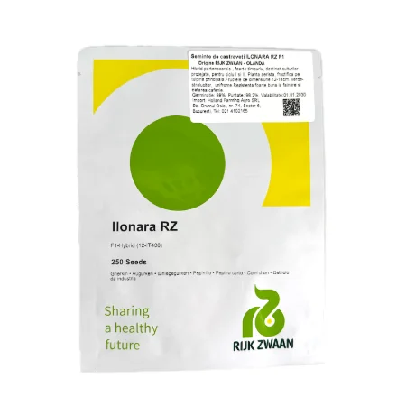 Seminte castraveti Ilonara RZ F1 250 seminte